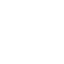 Expert Technician